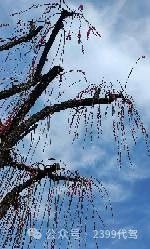 长途代驾，商务代驾，旅游代驾，车辆代驾第8张-2399代驾