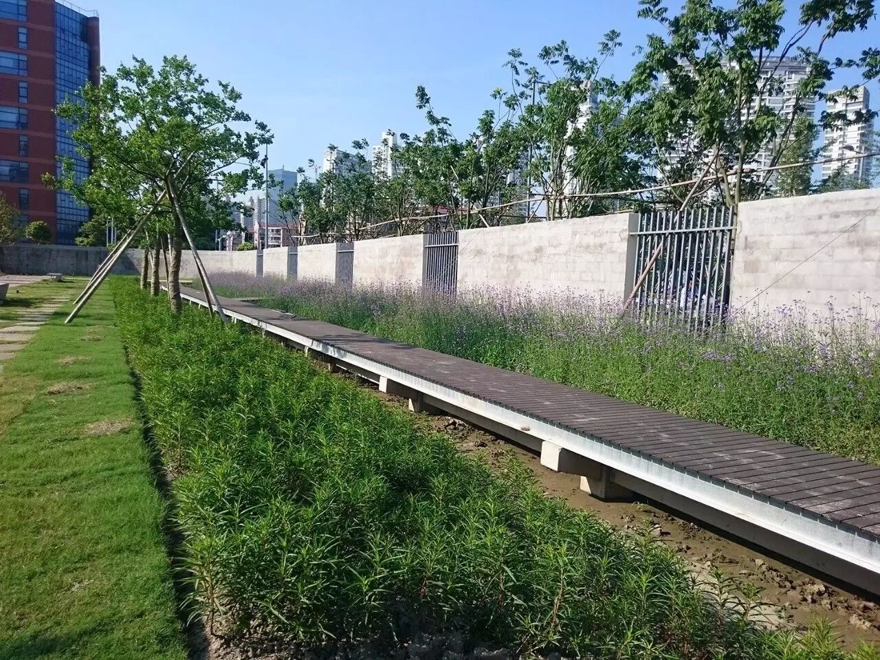 施工中:徐汇跑道公园中的雨水花园