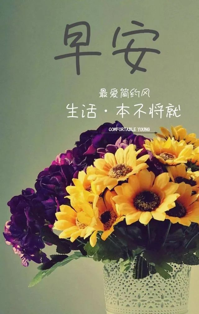 经典走心的早安励志短句,每一次的跌倒,都会让人变得愈发坚强