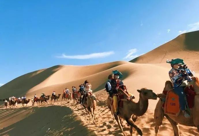 与狼成狼， 与猪成猪！