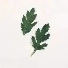 四个很短的故事，受用一生