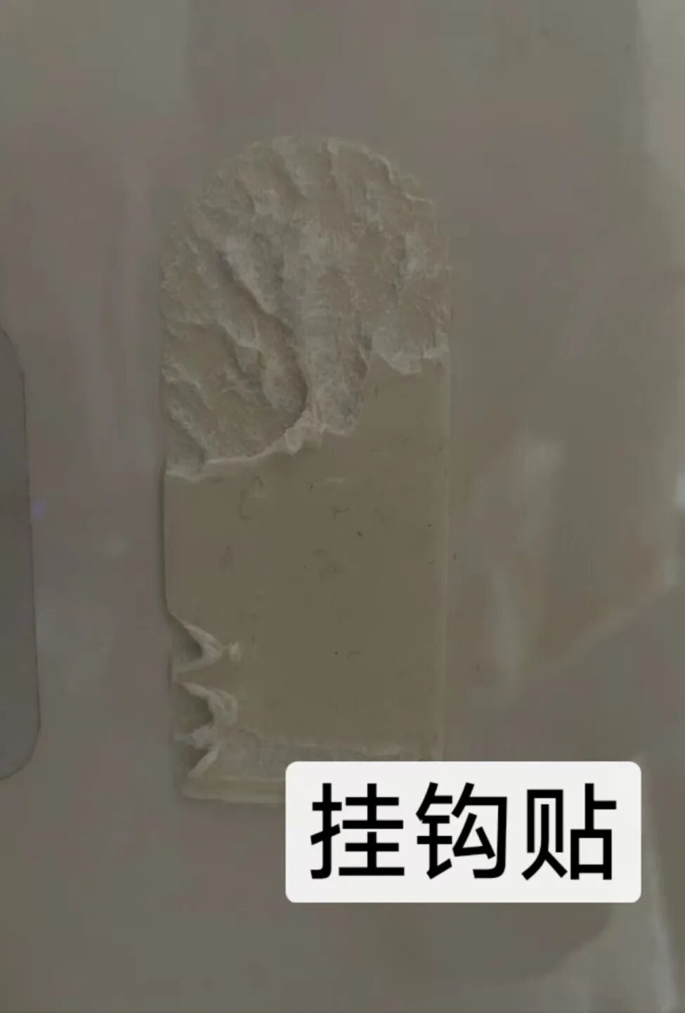 微信圖片_20241122124944