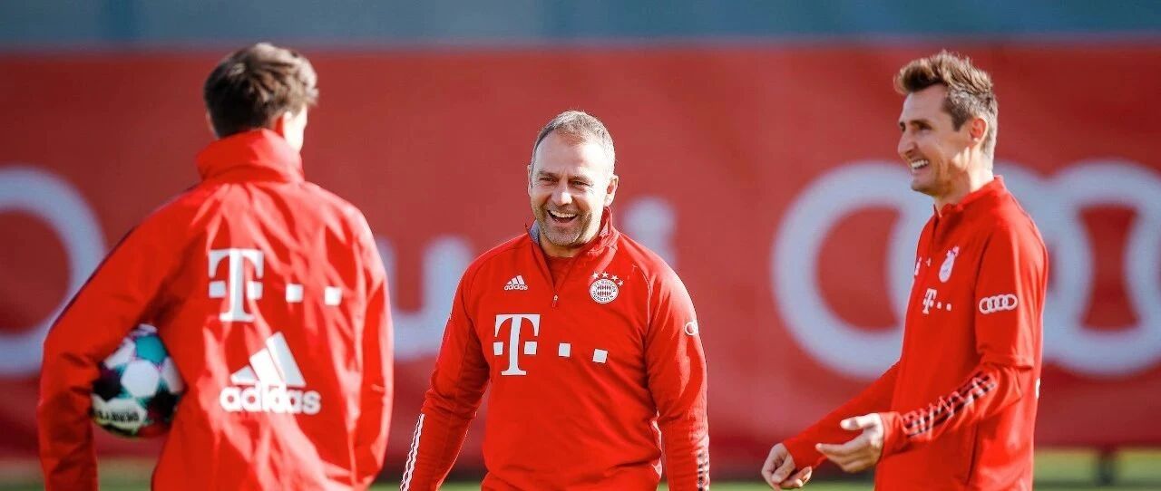 一年过去了，又等到你了！