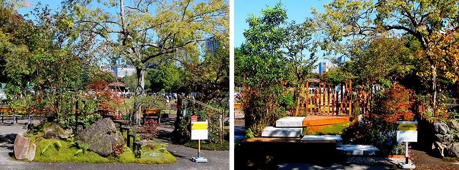 趣 日本 听大师讲造园 观摩施工现场与建造工艺 游学报名中 国际新景观 微信公众号文章阅读 Wemp