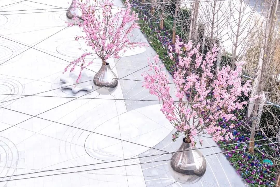 小小一方种植池，主角配角两相宜