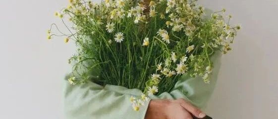 今年春夏最火的“绿色穿搭”，这几套也太美了吧!