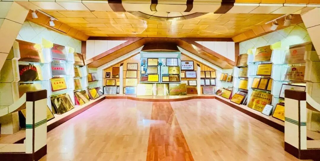 王银香：“起初养牛，只是为了牛粪”，没想做成了国家认可的有机产业链