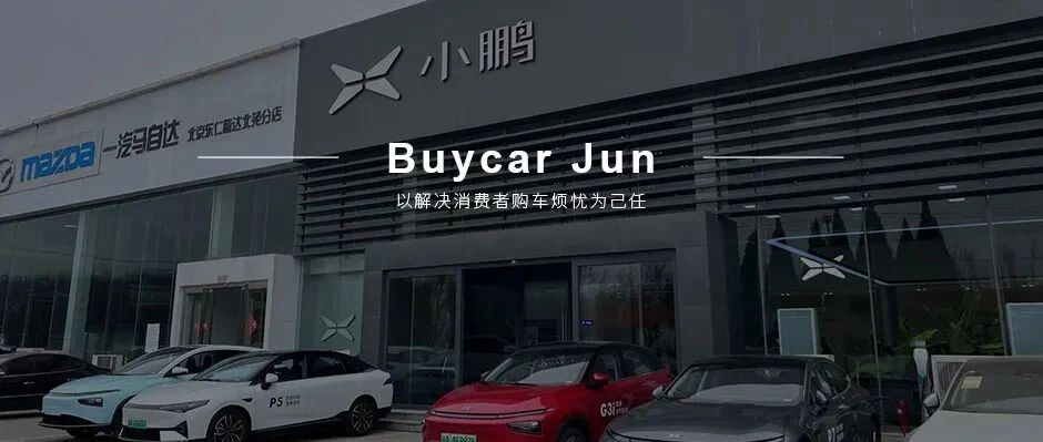 新能源车涨了，黄牛笑了？