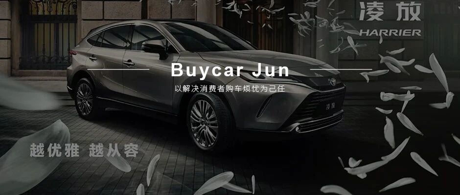 先陆放后凌放，荣放等来了“左膀右臂”