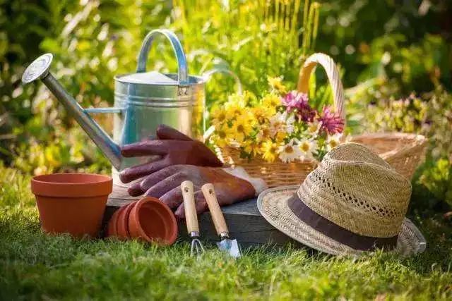 園藝治療參與者招募 | 共同打造屬於你的心靈花園 家居 第3張