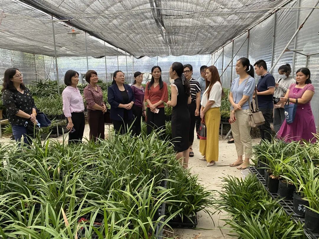 有哪些小额创业项目 我市妇女创业小额担保贴息贷款项目工作获省通报表扬