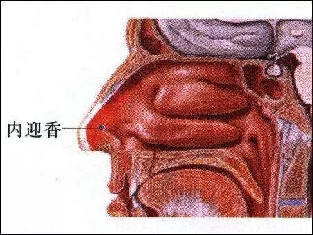 戴消毒手套,将食指,中指放进患者口中,拇指在外对按,仔细触摸口颊黏膜