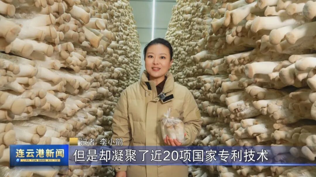 Copy_片花1_2025-12-01_17-50-30 农业1.jpg