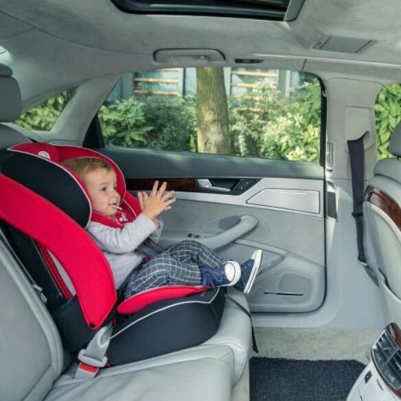 从今天起，车上不这样做就是违法