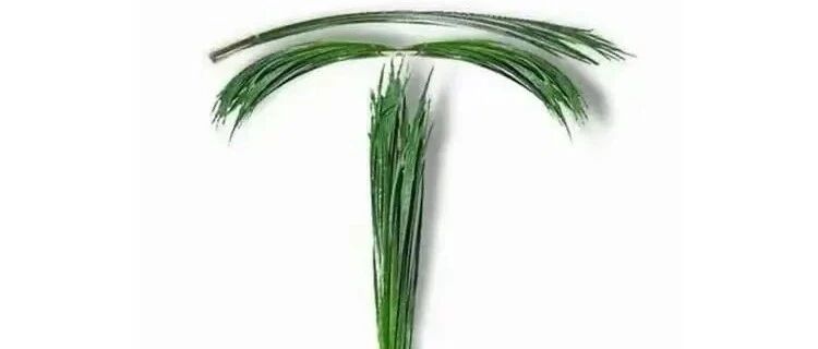 卖车加价被人骂，没想到降价也被人骂