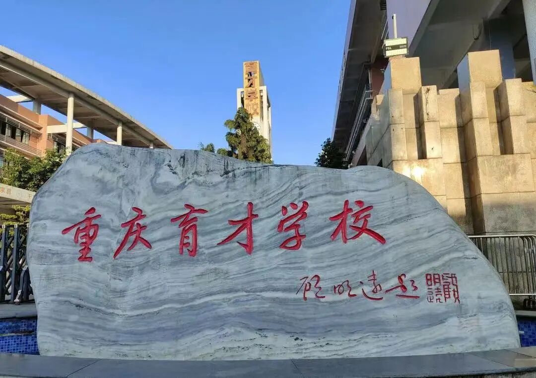 盘点七龙珠本部初中班型,升学成绩!谁是你心目中的no.1?