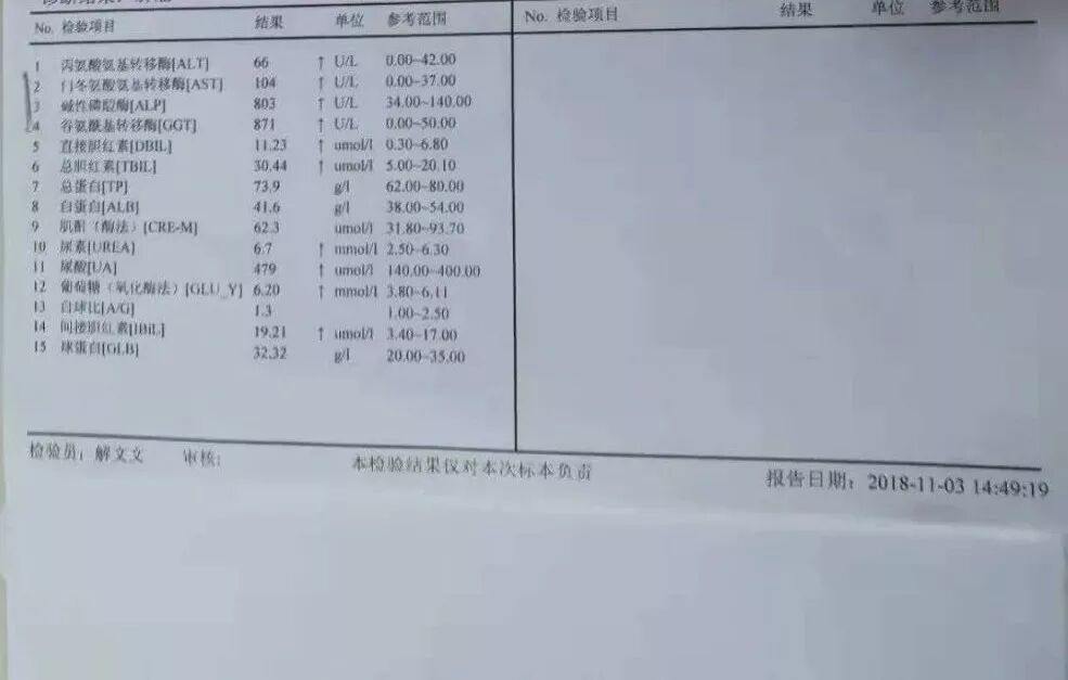 臭氧治疗什么病三氧自体血疗法开启“慢性病、肿瘤”治疗新篇章_https://www.jmylbn.com_新闻资讯_第16张