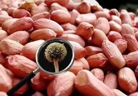 【白癜风健康】这些东西竟是“隐形杀手”，小心误食！