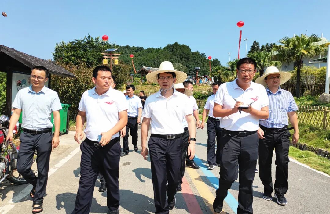 潘金城深入洞头乡调研