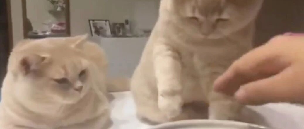 我就摸一下，不吃！瞅你那小气样！