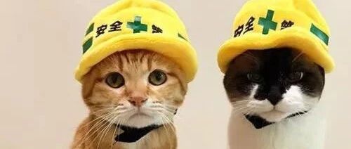 推主为了不让猫们取暖时太靠近暖炉，想了这么个办法，笑屎..