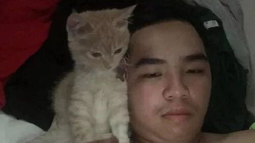 主人只顾玩游戏，不陪猫咪，结果它的举动让主人都分心了...