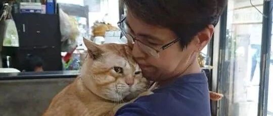 趴在主人怀里的大猫咪，感觉委屈极了