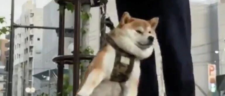 传说中的“废柴”到底有多废?