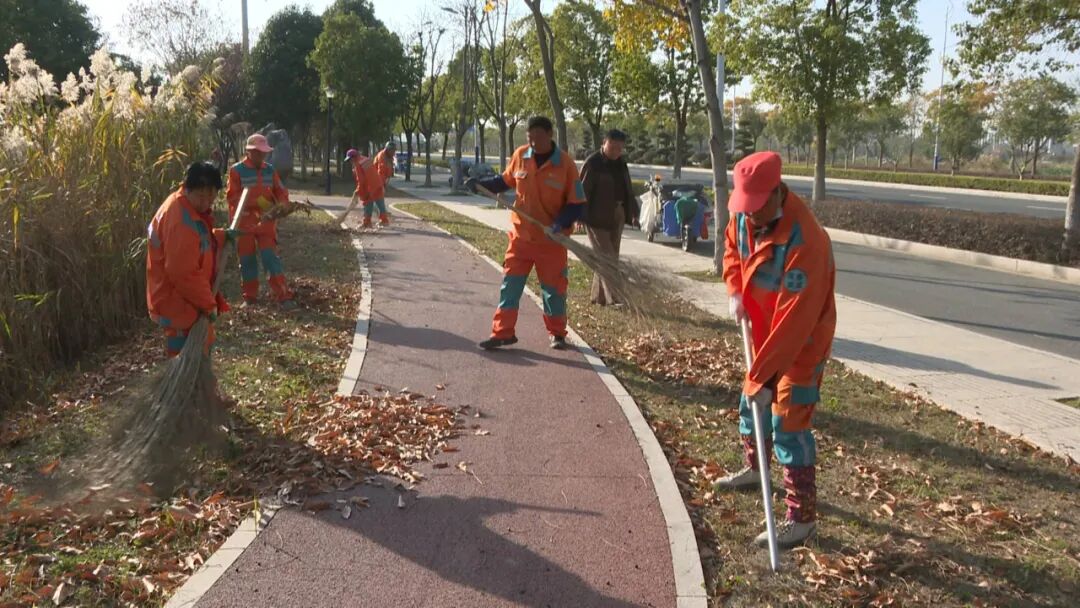 落叶季保洁不松懈！800名环卫工周末奋战为城市“梳妆”