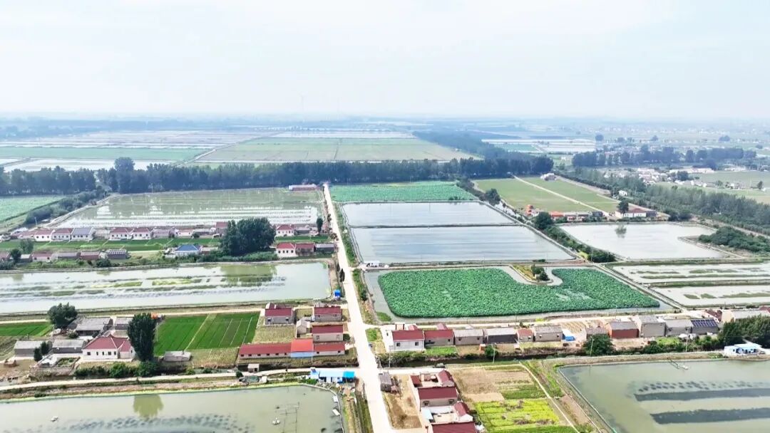 射南村：道路拓宽环境升级 打造农旅融合新名片