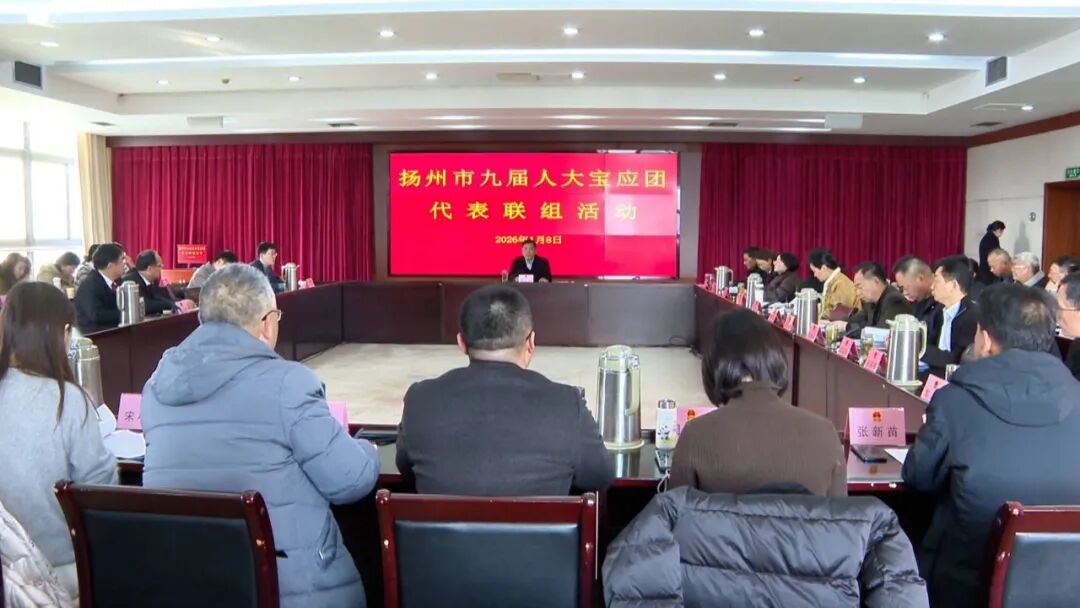 扬州市九届人大宝应团开展代表联组活动