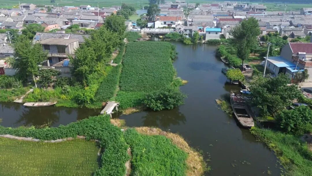 农村人居环境整治在行动 | 李沟村：从“曝光”到“焕新” 全域大扫除换来水清村美