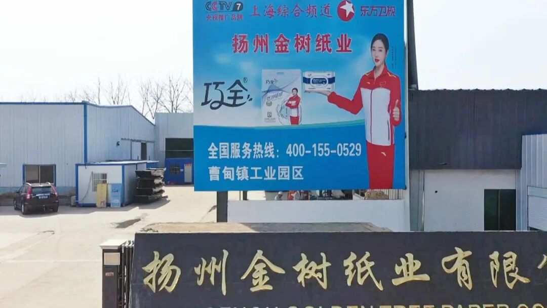 新质生产力在百企 | 金树纸业：点“纸”成“金”， “宝应造纸”走向全国