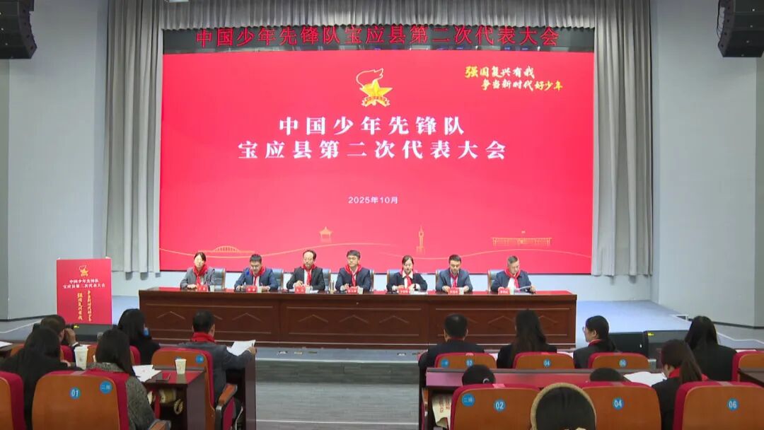 中国少年先锋队宝应县第二次代表大会召开