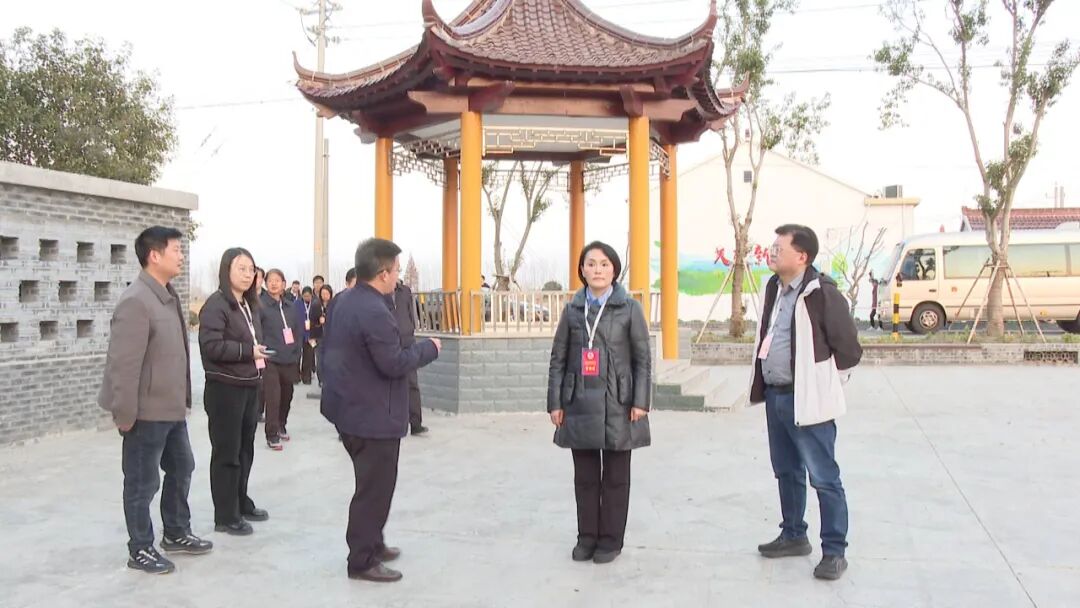 宝应县政协视察全县宜居宜业和美乡村建设