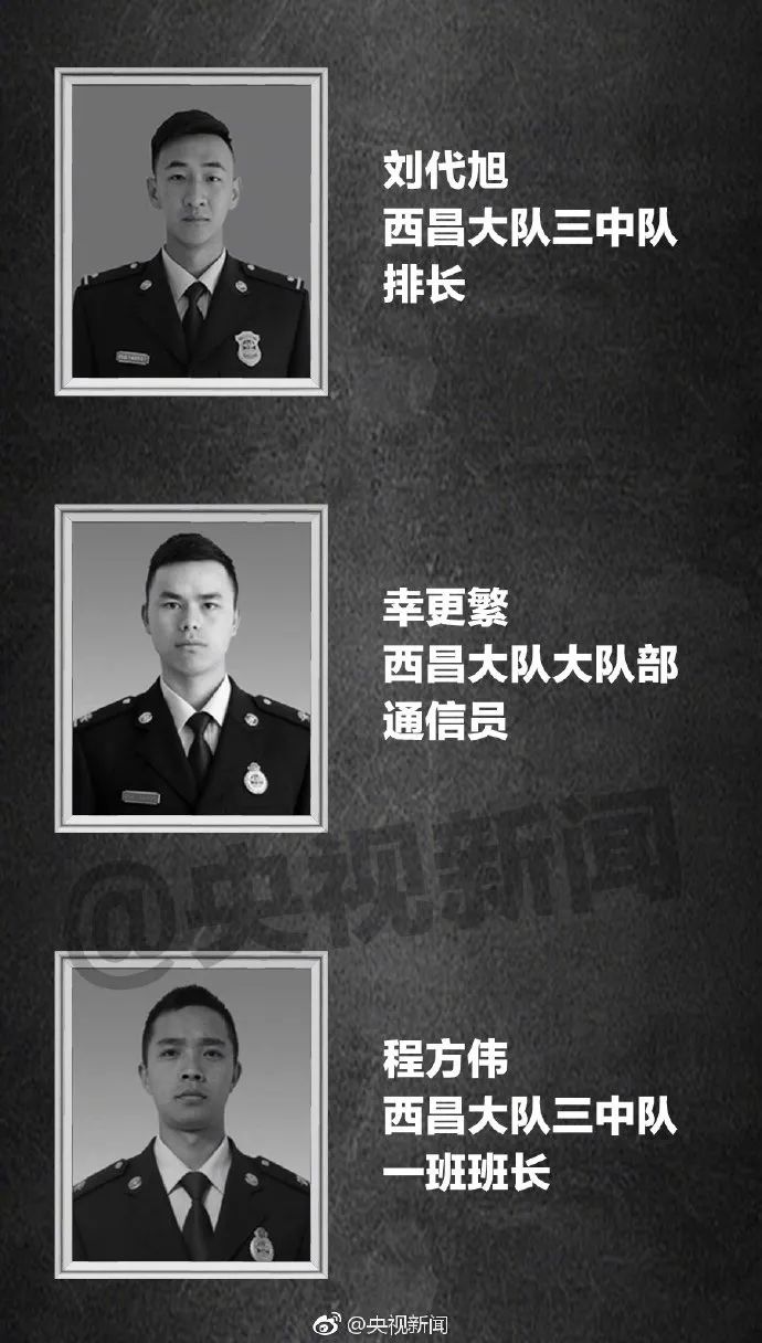 凉山消防员死亡图图片