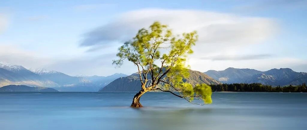 【荐读】别拿自己的尺子，去丈量别人的生活