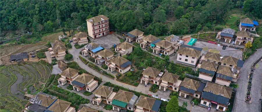 “长寿之乡”未来什么样？来看看金平要打的“四张牌”