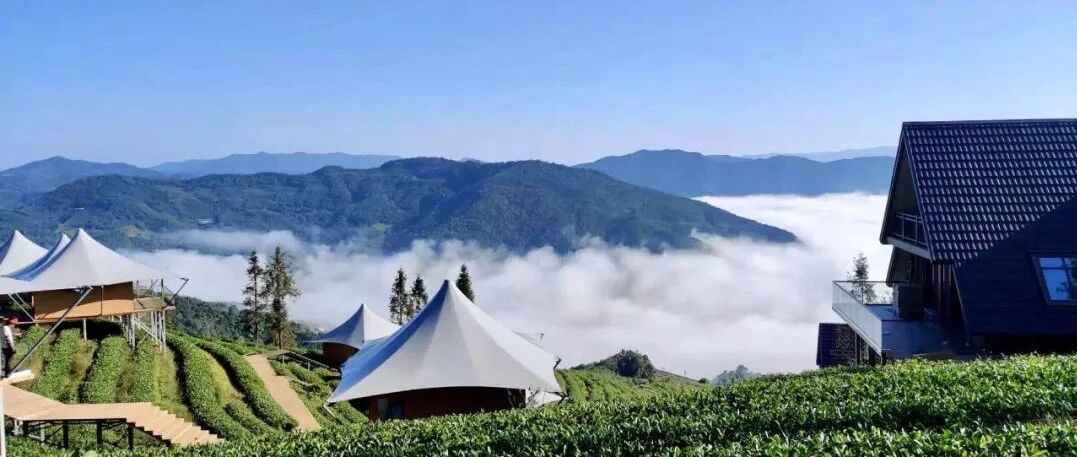 “科技范”“创新范”“严肃范”！看云南旅游业复苏转型