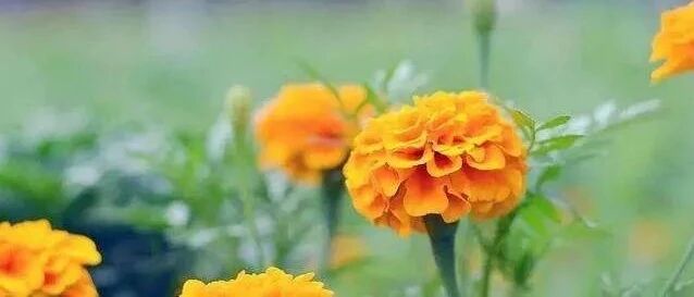 【荐读】人在困难时，请记住这几句话