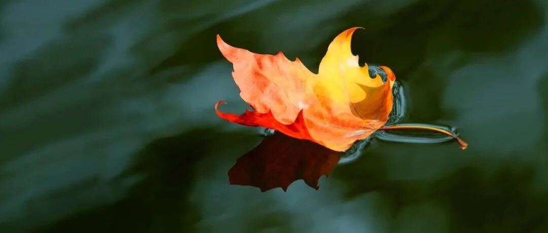 【荐读】做好这两件事 就是人生真赢家