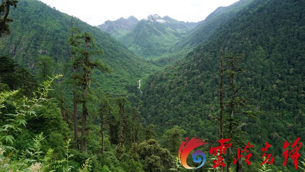 最長、最奇、最有特色！走進獨龍江，探訪「三江並流」的神奇秘境 旅遊 第10張