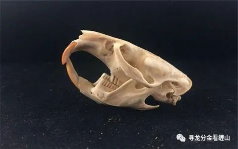 破财家里哪个方位出问题了_家有10种东西必破财_家里破财的东西