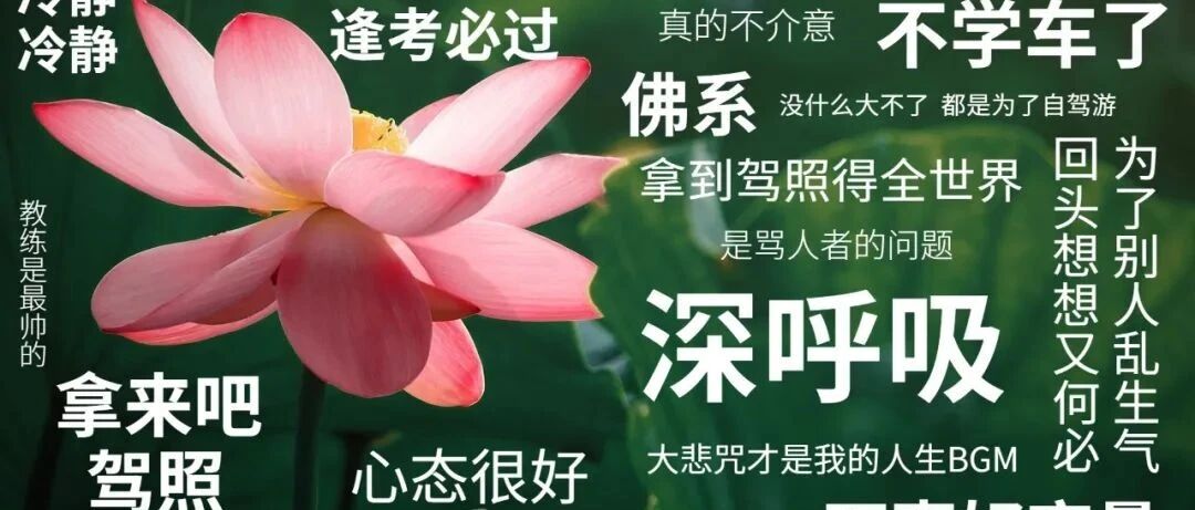 学员：教练，我不学车了，要跟你学骂人……​