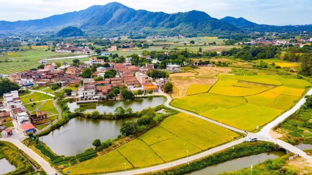 肇庆罗源新时代乡村振兴的探索实践