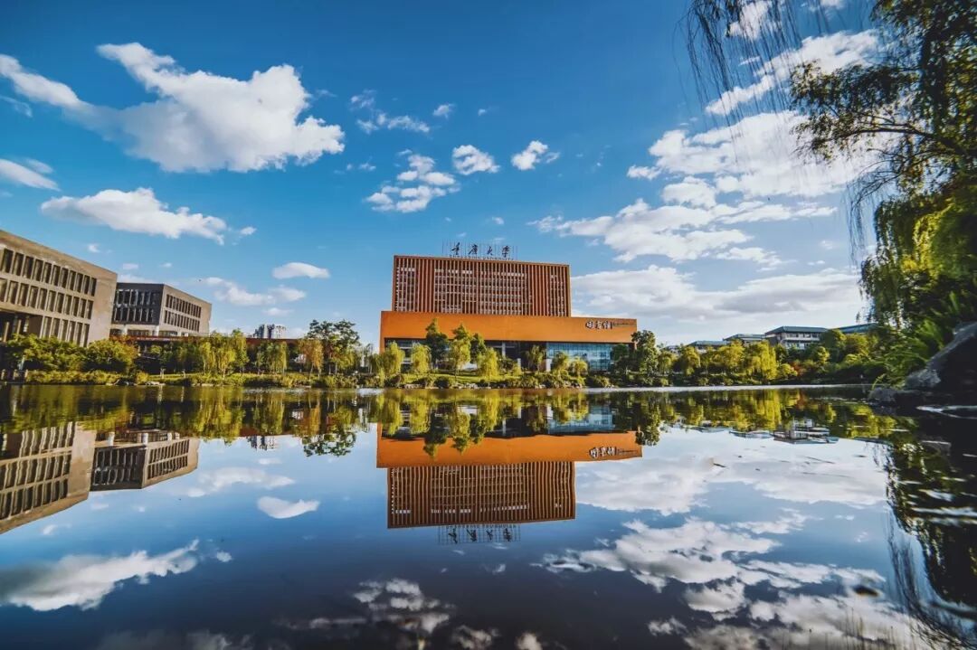 重庆大学2025年接收推免预报名公告