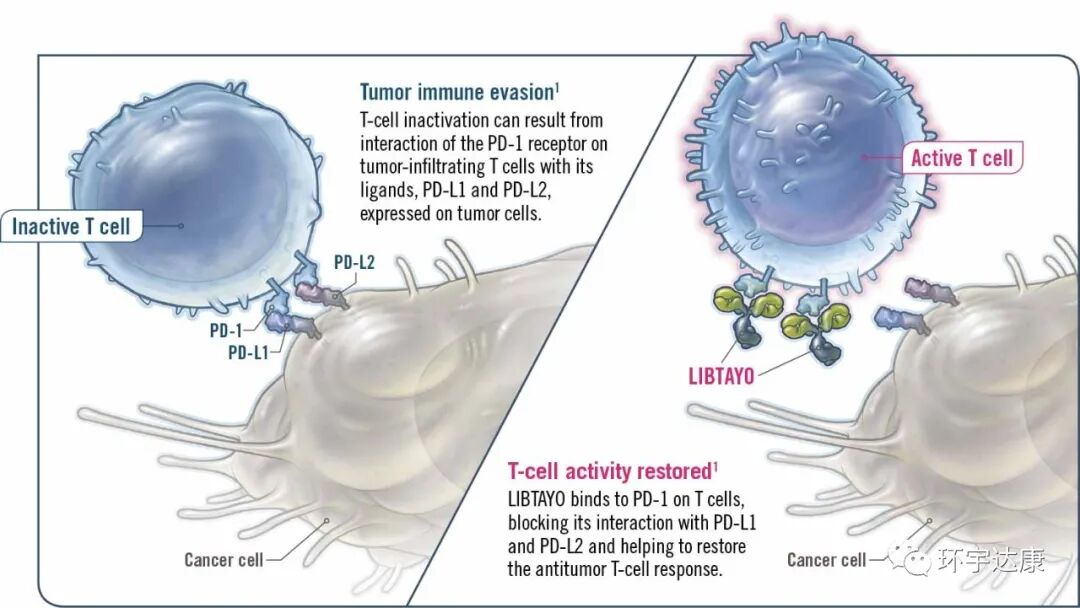 微信图片_20211209164040