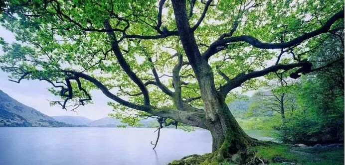 640?wx_fmt=jpeg&tp=webp&wxfrom=5&wx_lazy=1&wx_co=1