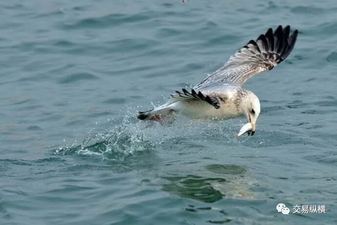 640?wx_fmt=jpeg&tp=webp&wxfrom=5&wx_lazy=1&wx_co=1