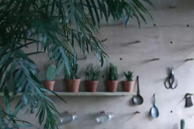 那些喜歡折騰的女人,後來到底過的好不好?